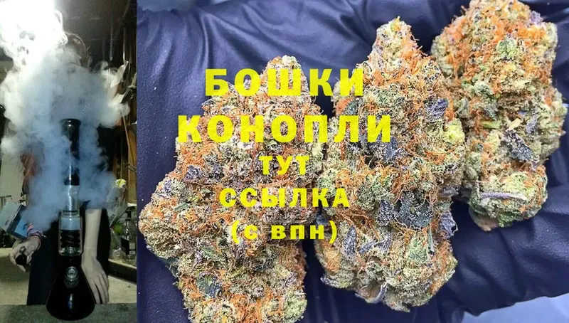 Шишки марихуана White Widow  Лермонтов 